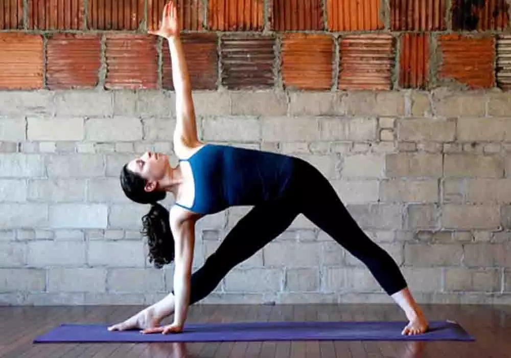 Yoga Tips: अगर 30 की उम्र में आपके बाल सफेद हो रहे हैं तो करें इन योगासनों का अभ्यास, जल्द दिखेगा असर Yoga Tips: अगर 30 की उम्र में आपके बाल सफेद हो रहे हैं तो करें इन योगासनों का अभ्यास, जल्द दिखेगा असर