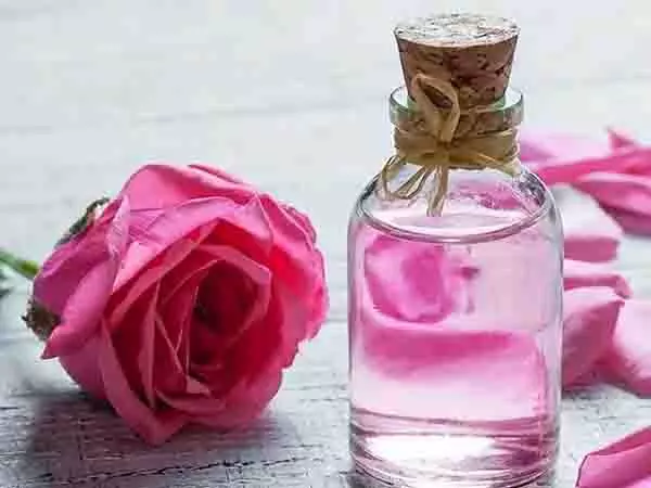 Healthy Skin: गुलाब जल के फायदे पाएं, जानें इस्तेमाल का सही तरीका Healthy Skin: गुलाब जल के फायदे पाएं, जानें इस्तेमाल का सही तरीका