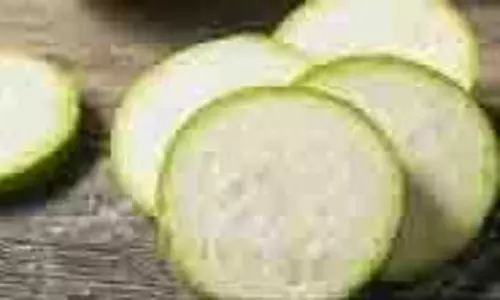 Skin Care: त्वचा के लिए किसी वरदान से कम नहीं है लौकी, इन तरीकों से मिलेगा निखरा चेहरा