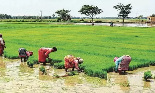 मार्च में मुद्रास्फीति का बोझ कम होने से कृषि और ग्रामीण श्रमिकों को राहत मिली