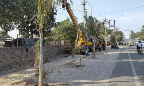 Punjab: सार्वजनिक लापरवाही नागरिक सेवाओं और पर्यावरण प्रयासों को बाधित करती
