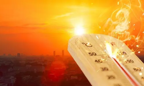 IMD ने मई में गर्मी के दिनों में वृद्धि की भविष्यवाणी की