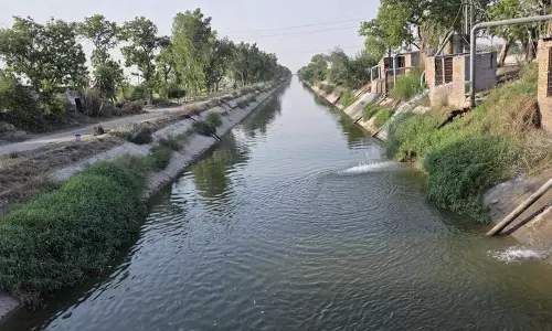 Punjab: मालवा में प्रदूषित जल संकट क्यों है?