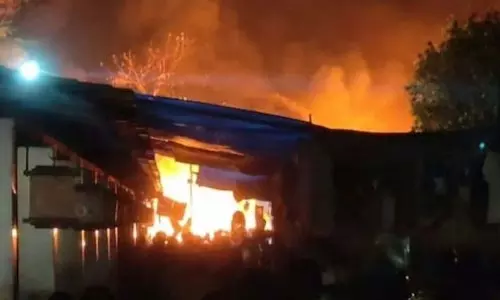 Delhi हाट में आग लगने से कई स्टॉल जलकर खाक