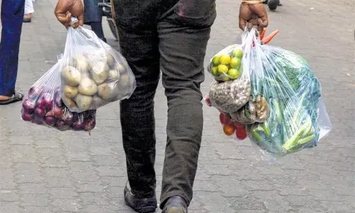 प्रतिबंध के बावजूद Kangra में तंबाकू और एकल-उपयोग प्लास्टिक का कारोबार जारी प्रतिबंध के बावजूद Kangra में तंबाकू और एकल-उपयोग प्लास्टिक का कारोबार जारी