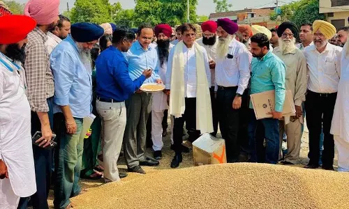 FCI चेयरमैन ने अमृतसर में गेहूं खरीद का आकलन किया