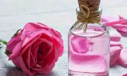 Healthy Skin: गुलाब जल के फायदे पाएं, जानें इस्तेमाल का सही तरीका