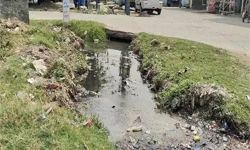 Yamunanagar : गंदे पानी से फैली बीमारी, चिंता का माहौल Yamunanagar : गंदे पानी से फैली बीमारी, चिंता का माहौल