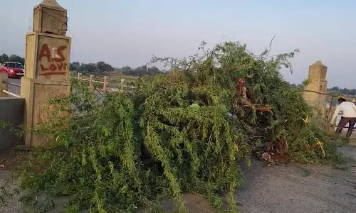 काशी शैली के विकास की मांग को लेकर गंगापुर बंद, श्रद्धालुओं का प्रदर्शन