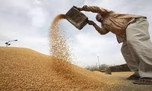 Muzaffarnagar की गेहूं खरीद में कमी, एडीएम वित्त नाराज, हटाए गए दो क्रय केंद्र Muzaffarnagar की गेहूं खरीद में कमी, एडीएम वित्त नाराज, हटाए गए दो क्रय केंद्र