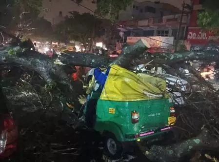 ऑटो-रिक्शा चालक की मौत, तेज आंधी-तूफान के साथ भारी बारिश का कहर ऑटो-रिक्शा चालक की मौत, तेज आंधी-तूफान के साथ भारी बारिश का कहर