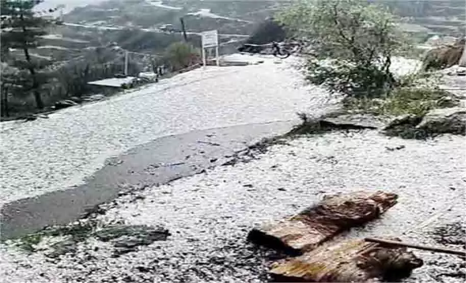 Himachal Pradesh: ओलावृष्टि से बर्बाद हुई सेब और मटर की फसल Himachal Pradesh: ओलावृष्टि से बर्बाद हुई सेब और मटर की फसल