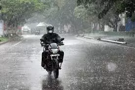 Kerala में भारी बारिश और बिजली गिरने की आशंका आईएमडी ने पांच जिलों में जारी Kerala में भारी बारिश और बिजली गिरने की आशंका आईएमडी ने पांच जिलों में जारी