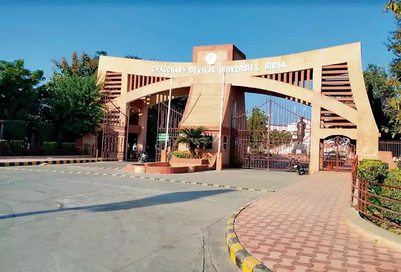 Sirsa विश्वविद्यालय के प्रोफेसर ने उत्पीड़न मामले में निष्क्रियता का आरोप Sirsa विश्वविद्यालय के प्रोफेसर ने उत्पीड़न मामले में निष्क्रियता का आरोप