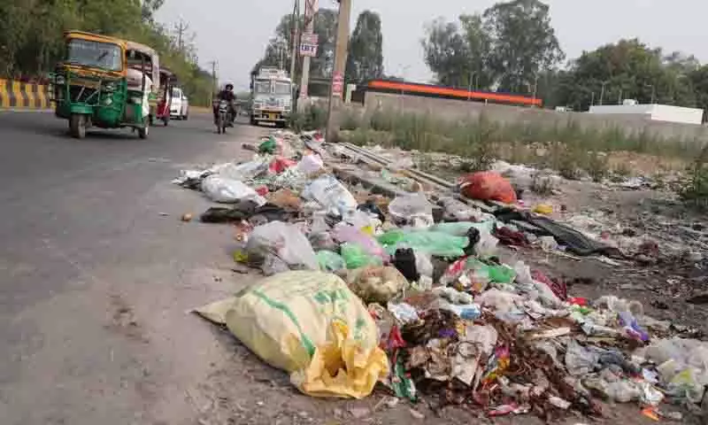 Ladowali Road पर कूड़े का ढेर, लोगों ने नगर निगम की अनदेखी पर जताया विरोध Ladowali Road पर कूड़े का ढेर, लोगों ने नगर निगम की अनदेखी पर जताया विरोध
