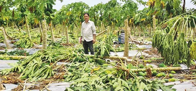 Khammam : बेमौसम बारिश से खाद्य आपूर्ति ठप्प Khammam : बेमौसम बारिश से खाद्य आपूर्ति ठप्प