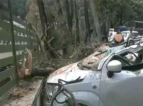 Himachal: शिमला में तूफान से पेड़ उखड़ गए, तीन खड़ी गाड़ियां कुचली Himachal: शिमला में तूफान से पेड़ उखड़ गए, तीन खड़ी गाड़ियां कुचली