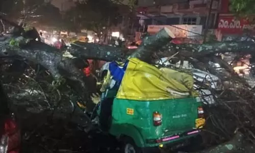 ऑटो-रिक्शा चालक की मौत, तेज आंधी-तूफान के साथ भारी बारिश का कहर