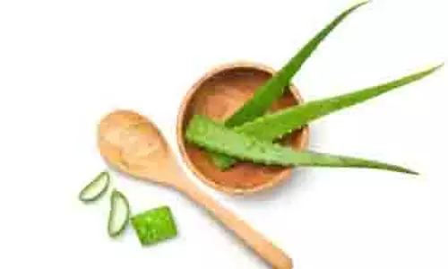 Aloe vera and Rose Water Uses: चेहरे के दाग-धब्बों से छुटकारा पाना है तो इन दो चीजों का करें इस्तेमाल Aloe vera and Rose Water Uses: चेहरे के दाग-धब्बों से छुटकारा पाना है तो इन दो चीजों का करें इस्तेमाल
