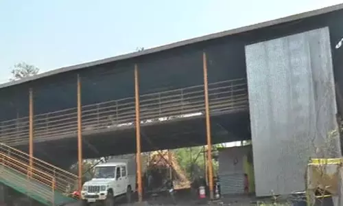 राष्ट्रीय पशुधन योजना ने बदली राहुल चौहान की किस्मत, बकरी पालन से बने आत्मनिर्भर राष्ट्रीय पशुधन योजना ने बदली राहुल चौहान की किस्मत, बकरी पालन से बने आत्मनिर्भर