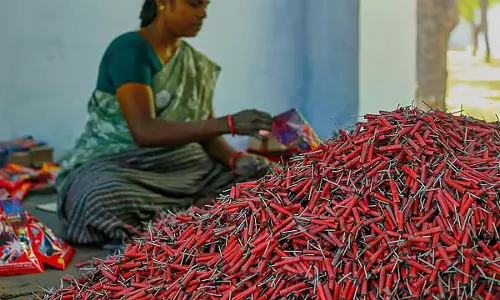 तमिलनाडु : शिवकाशी पटाखों की बिक्री