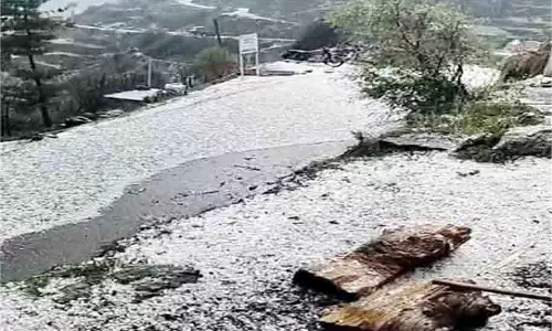 Himachal Pradesh:  ओलावृष्टि से बर्बाद हुई सेब और मटर की फसल