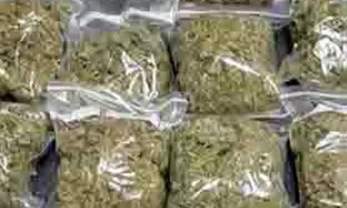 MP NEWS: नशे के खिलाफ चल रहे अभियान के तहत पुलिस को  मिली सफलता