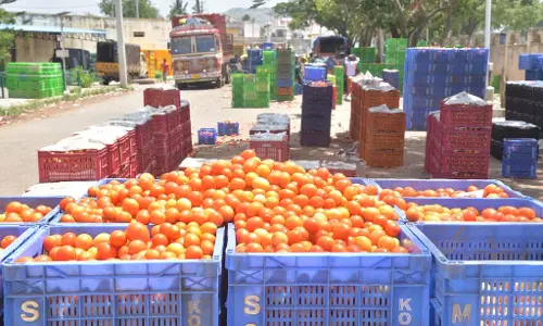 किसानों ने भविष्य में पाकिस्तान को अपने टमाटर या आम निर्यात न करने का फैसला किया किसानों ने भविष्य में पाकिस्तान को अपने टमाटर या आम निर्यात न करने का फैसला किया