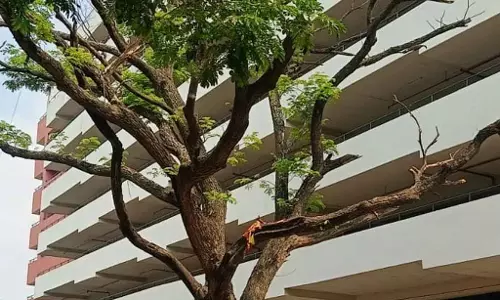 यशवंतपुर APMC : बहुमंजिला इमारत होने के बावजूद भी परेशानी यशवंतपुर APMC : बहुमंजिला इमारत होने के बावजूद भी परेशानी
