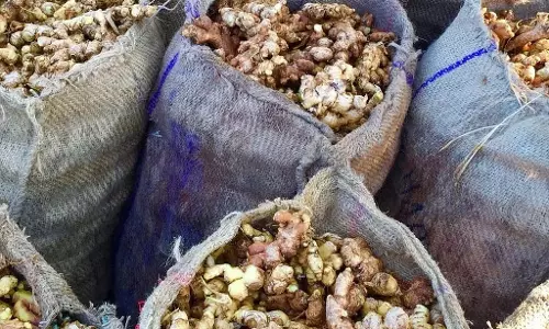 बनवासी में शॉपिंग सेंटर खोलने की मांग