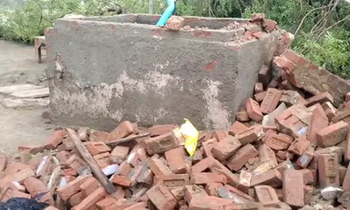 विशालकाय पेड़ गिरा, एक ही परिवार के 4 लोगों की मौत, देखें मंजर विशालकाय पेड़ गिरा, एक ही परिवार के 4 लोगों की मौत, देखें मंजर