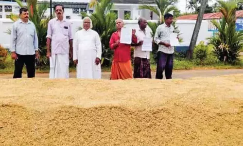 Kerala ; फसल कटने के तीन सप्ताह बाद भी किसान रो रहे Kerala ; फसल कटने के तीन सप्ताह बाद भी किसान रो रहे
