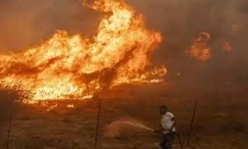 Israel में जंगल की आग भड़की