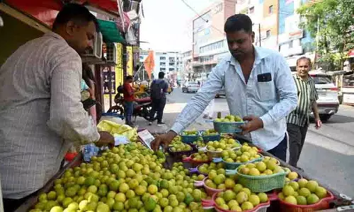 Hyderabad: नींबू की कीमतें आसमान छू रही, एक दर्जन नींबू 100 रुपये में बिका Hyderabad: नींबू की कीमतें आसमान छू रही, एक दर्जन नींबू 100 रुपये में बिका
