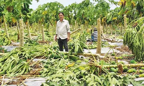 Khammam : बेमौसम बारिश से खाद्य आपूर्ति ठप्प Khammam : बेमौसम बारिश से खाद्य आपूर्ति ठप्प