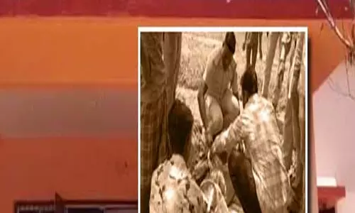आवारा कुत्तों के हमले से हिरण की मौत आवारा कुत्तों के हमले से हिरण की मौत