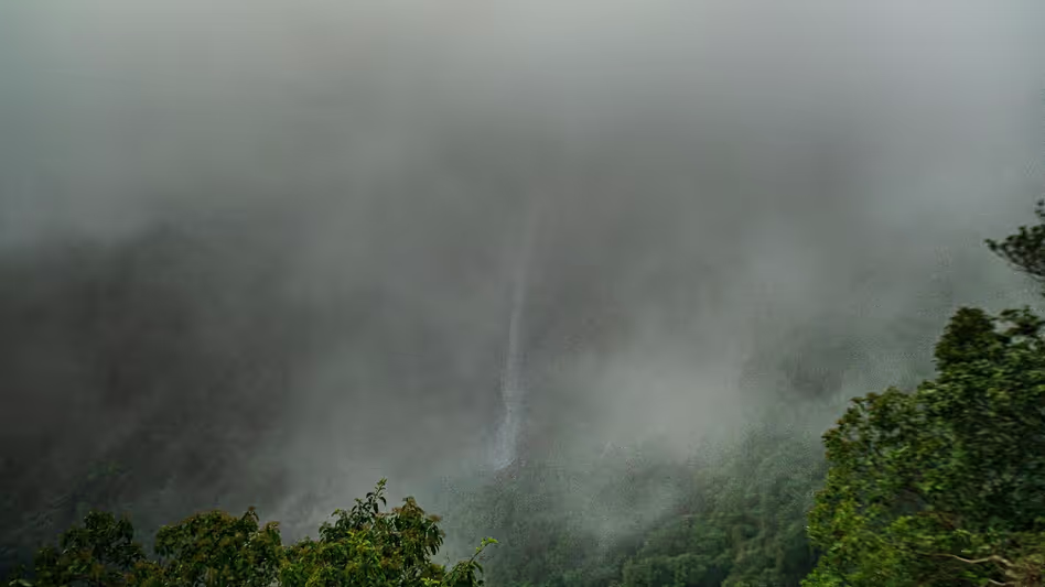 Meghalaya ने इतिहास रच दिया, वर्षा जल से बनी जिन वैश्विक बाजारों में पहुंची