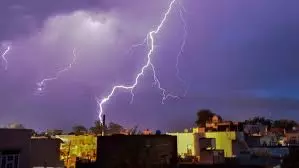 Nawada: किसान पर टूटा बज्रपात का कहर, पांच दुधारू गाय व भैंस की मौके पर ही मौत Nawada: किसान पर टूटा बज्रपात का कहर, पांच दुधारू गाय व भैंस की मौके पर ही मौत