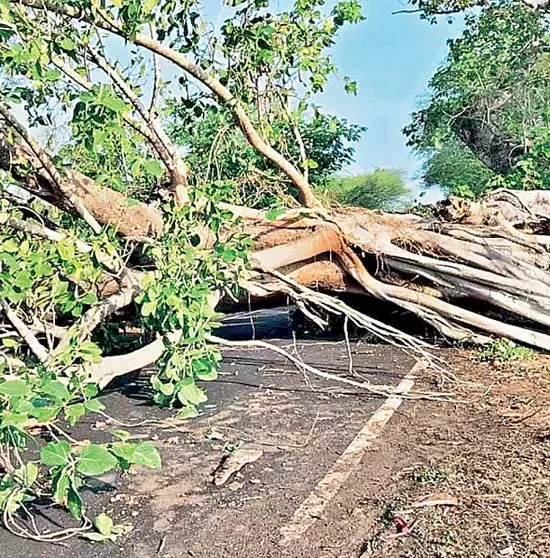 Odisha : मानसून के प्रभाव से तेज हवाओं के साथ भारी बारिश हुई Odisha : मानसून के प्रभाव से तेज हवाओं के साथ भारी बारिश हुई