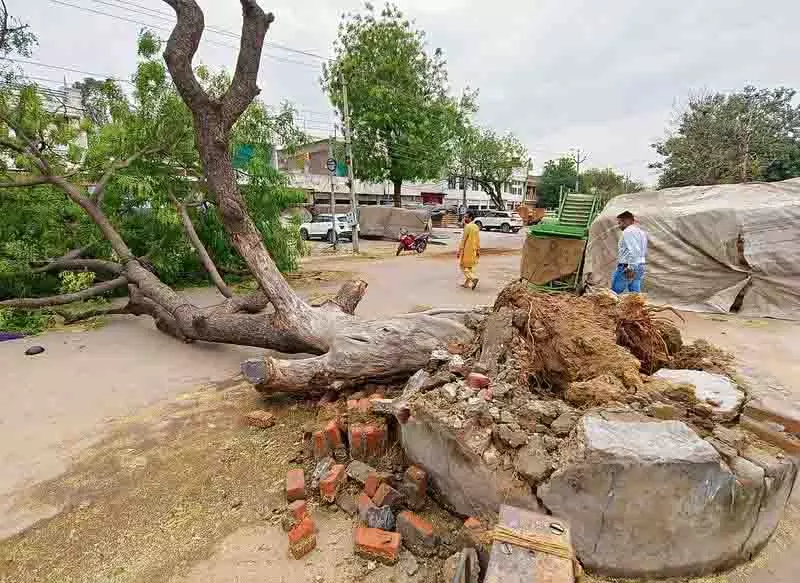 Punjab: मौसम प्रणालियों के परस्पर प्रभाव से बारिश और तूफान आए Punjab: मौसम प्रणालियों के परस्पर प्रभाव से बारिश और तूफान आए