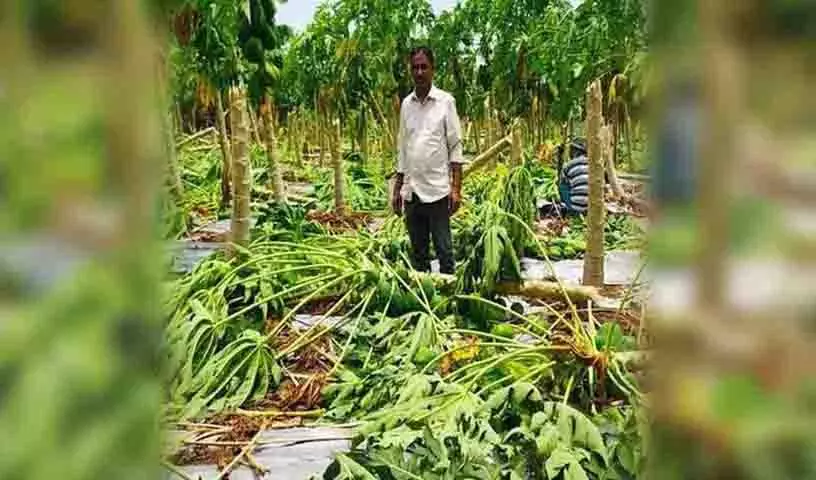 Khammam में बेमौसम बारिश के कारण किसानों को भारी नुकसान Khammam में बेमौसम बारिश के कारण किसानों को भारी नुकसान
