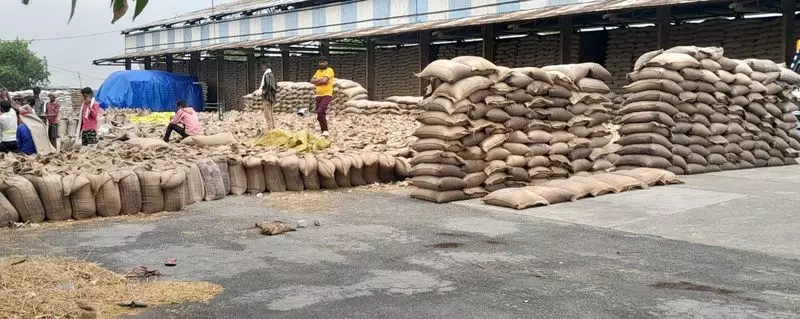 Haryana : सिरसा में तूफान, बिजली गुल, फसलें बर्बाद Haryana : सिरसा में तूफान, बिजली गुल, फसलें बर्बाद