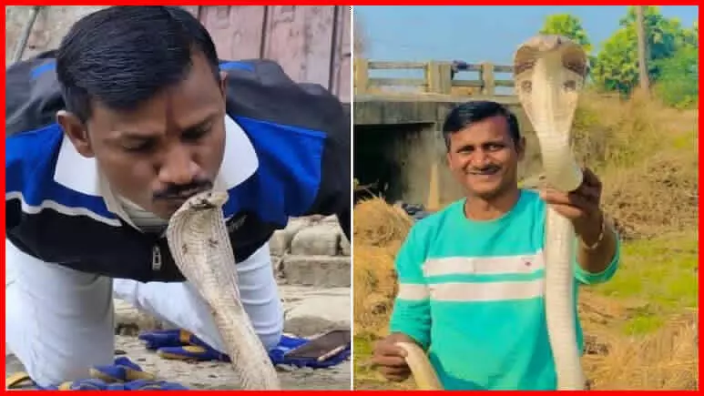 स्नेक मैन की सांप के काटने से मौत, लगभग दो हजार सांपों को बचाया, पूरे इलाके में शोक की लहर दौड़ी स्नेक मैन की सांप के काटने से मौत, लगभग दो हजार सांपों को बचाया, पूरे इलाके में शोक की लहर दौड़ी