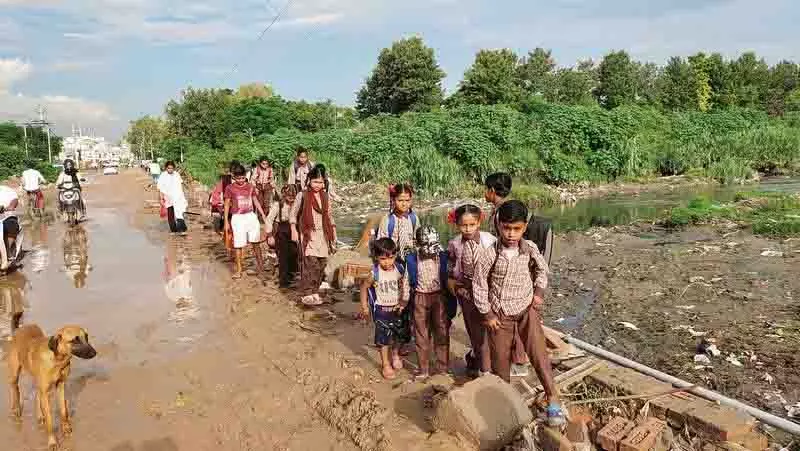Health विभाग ने वेक्टर जनित बीमारियों के प्रसार को रोकने के लिए स्कूली बच्चों को शामिल किया Health विभाग ने वेक्टर जनित बीमारियों के प्रसार को रोकने के लिए स्कूली बच्चों को शामिल किया