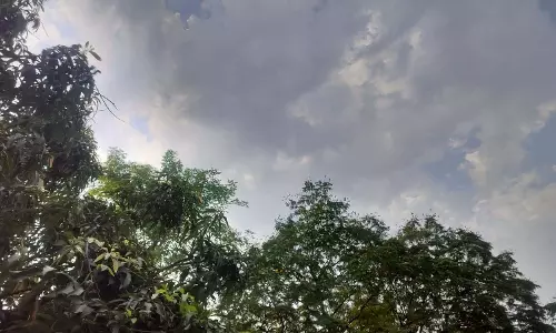 अगले 2-3 दिनों तक होते रहेंगे मौसम में बदलाव अगले 2-3 दिनों तक होते रहेंगे मौसम में बदलाव