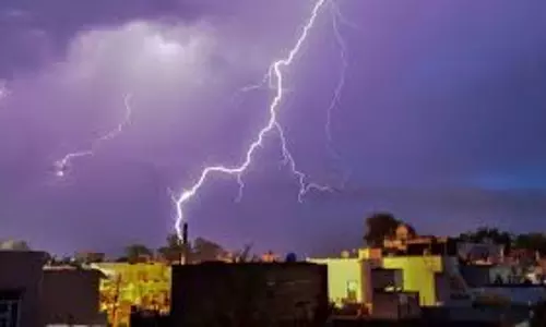 Nawada: किसान पर टूटा बज्रपात का कहर, पांच दुधारू गाय व भैंस की मौके पर ही मौत