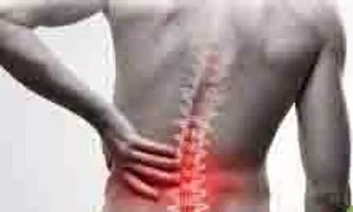 Health: किस विटामिन की कमी से होता है कमर दर्द? जानिए इस कमी से कैसे पाएं छुटकारा Health: किस विटामिन की कमी से होता है कमर दर्द? जानिए इस कमी से कैसे पाएं छुटकारा