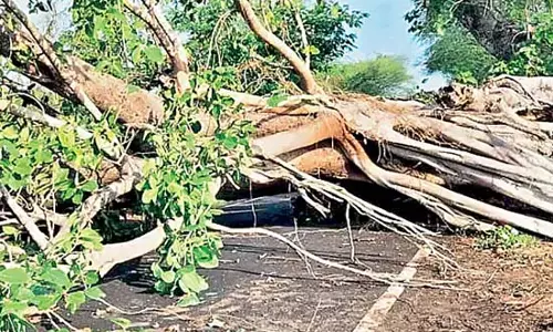 Odisha : मानसून के प्रभाव से तेज हवाओं के साथ भारी बारिश हुई Odisha : मानसून के प्रभाव से तेज हवाओं के साथ भारी बारिश हुई