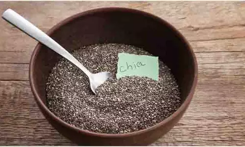 Health Tips: खाली पेट एक चम्मच चिया सीड्स आपको कई बीमारियों से बचाएगा, इन समस्याओं में माना जाता है वरदान