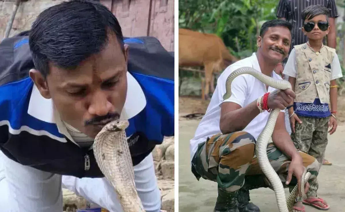 Patna: कोबरा के काटने से जय सहनी की मौत, बिहार में सांपों के प्रेमी की दर्दनाक अंत